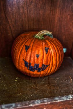 farklı pumpink ile renkli geleneksel halloween dekorasyon