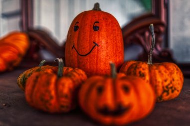 farklı pumpink ile renkli geleneksel halloween dekorasyon