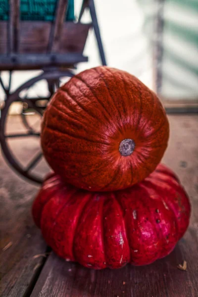 Красочные традиционные украшения Хэллоуина с различными тыквы — стоковое фото