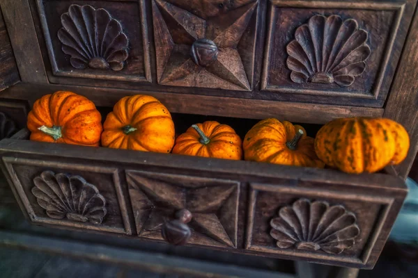 Barevná tradiční výzdoba na Halloween s různou pemzovou — Stock fotografie