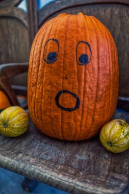 farklı pumpink ile renkli geleneksel halloween dekorasyon