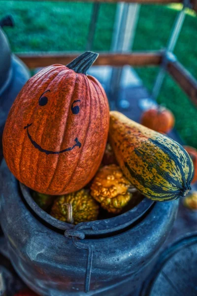 Färgglada traditionella Halloween dekoration med olika pumpink — Stockfoto