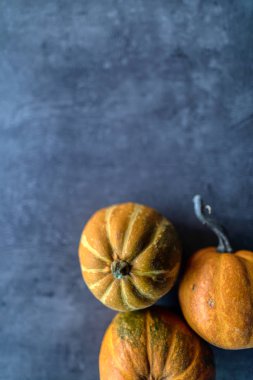 Mutlu Şükran Günleri, Gri taşta çeşitli balkabaklarının seçimi 