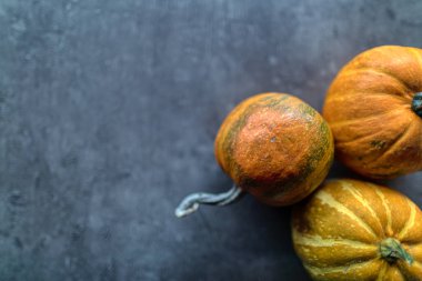 Mutlu Şükran Günleri, Gri taşta çeşitli balkabaklarının seçimi 