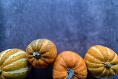 Mutlu Şükran Günleri, Gri taşta çeşitli balkabaklarının seçimi 