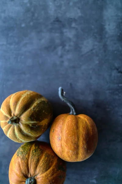 Mutlu Şükran Günleri, Gri taşta çeşitli balkabaklarının seçimi 