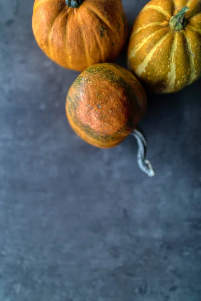 Happy Thanksgiving, Selection of various pumpkins on grey stone — ストック写真