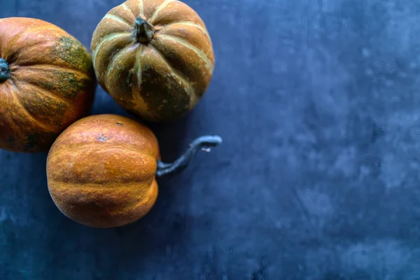 Mutlu Şükran Günleri, Gri taşta çeşitli balkabaklarının seçimi 