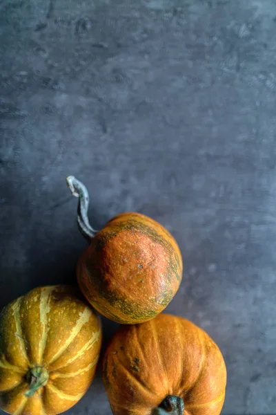 Mutlu Şükran Günleri, Gri taşta çeşitli balkabaklarının seçimi 
