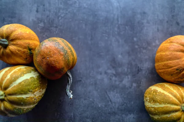 Mutlu Şükran Günleri, Gri taşta çeşitli balkabaklarının seçimi 