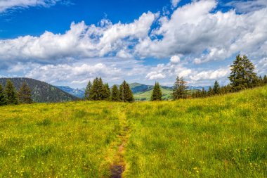 Yaz aylarında Les Mosses yakınlarında İsviçre Alpleri 'nin muhteşem HDR görüntüleri.