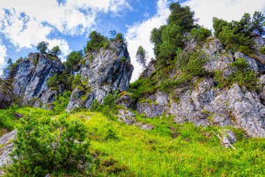 İsviçre Alpleri 'nin ünlü Hoch-Ybrig bölgesi HDR' den birkaç yaz yürüyüş izlenimi