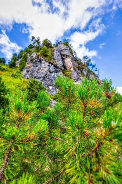 Ein Paar Sommerliche Wandereindrücke Aus Der Berühmten Region Hoch Ybrig — Stockfoto