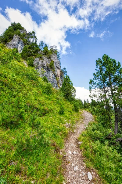 Několik Letních Turistických Dojmů Známého Hoch Ybrig Regionu Švýcarských Alpách — Stock fotografie