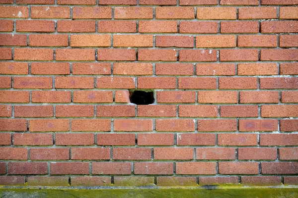 Hole Brick Wall — Stock Photo, Image