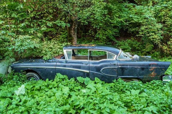 Old Vintage Rustic Retro Black Car Forest — Stock Photo, Image