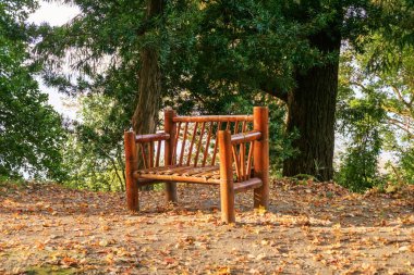 Bitkiler ve deniz arka plan bambu tezgah