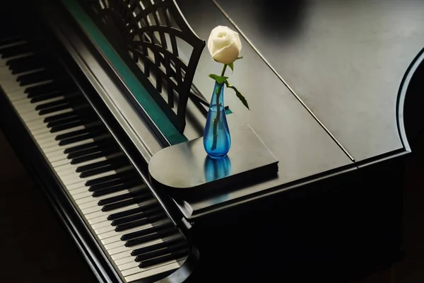 Rosa Blanca Jarrón Cristal Azul Piano Cola — Foto de Stock