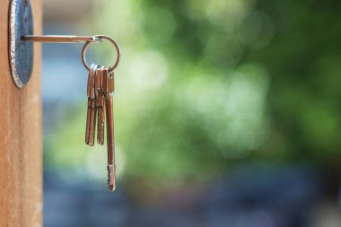 Bulanık arka kapı kilidi anahtarı, 