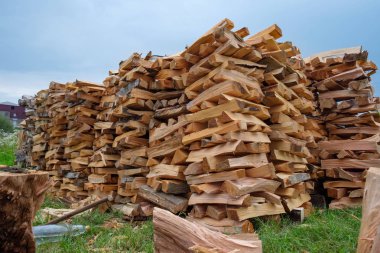 Yangın orman alanında demet