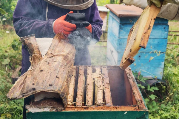 Пчеловоды Удаляют Соты Пчелиного Улья — стоковое фото
