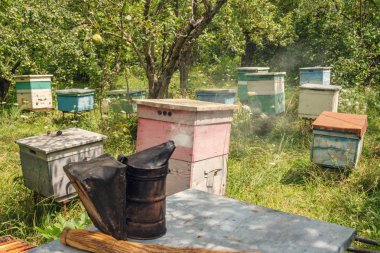 Arı kovanı bahçe üzerinde sigara içen