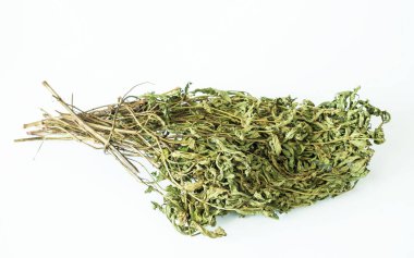 Beyaz yüzey üzerinde kurutulmuş Yeşil fesleğen demet