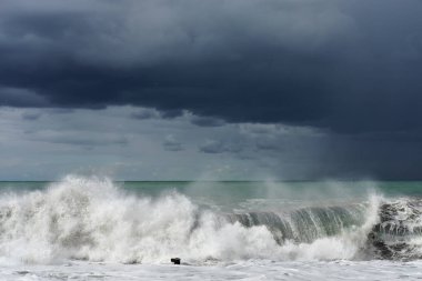 Fırtınalı denizde, sahilde dalgalar çökmesini