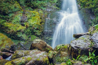 Mtirala Milli Parkı, şelale büyük yosunlu kayalar ile ormanda