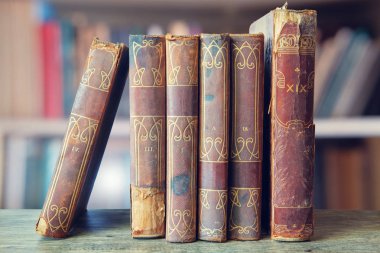 Eski kazık kitap kütüphane, seçici focua