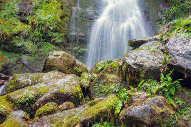 Mtirala Milli Parkı, şelale büyük yosunlu kayalar ile ormanda