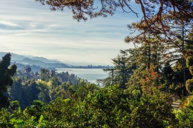 Ormandan gelen sahil kenti