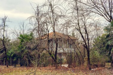 Ağaçların arasından eski terk edilmiş evde