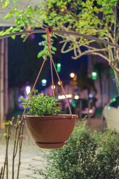 挂着的锅与花在夜街上 软焦点 — 图库照片