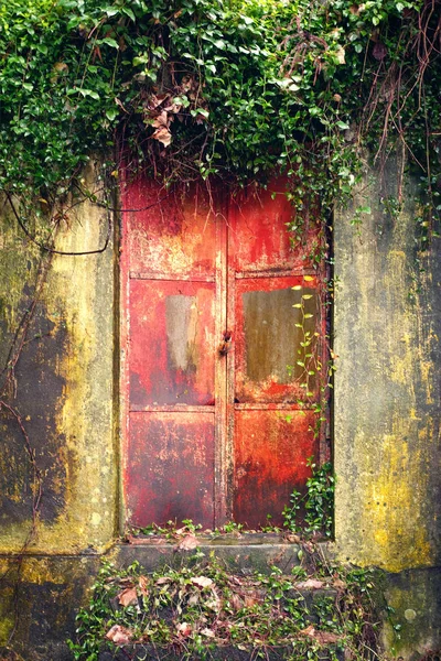 でもによって覆われた赤いドアの古いグランジ ファサード — ストック写真