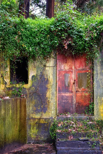 古老的粗糙的门面与红色的门覆盖着棕榈树 — 图库照片