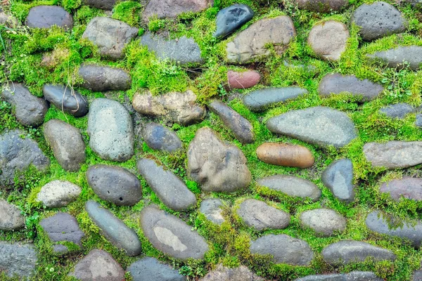Старая Каменная Стена Покрытая Мхом — стоковое фото
