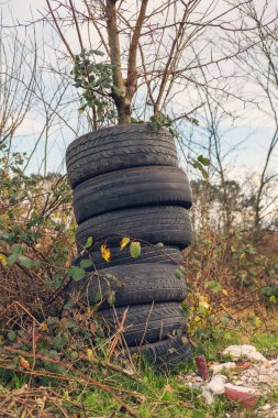 Eski araba lastikleri ağaç üzerinde kazık
