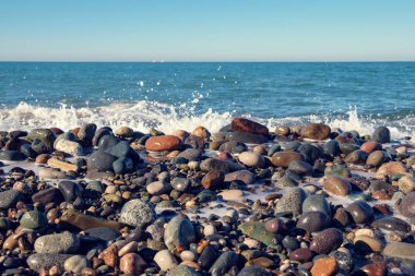 Plaj renkli ıslak kayalar