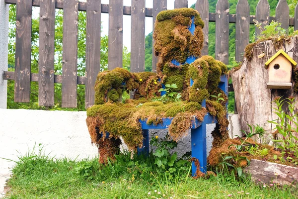 Sedia in legno blu ricoperta di muschio — Foto Stock