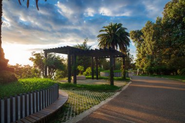 Güzel botanik bahçesi manzarası 