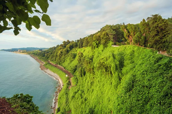 Indah pemandangan musim panas pemandangan pantai — Stok Foto