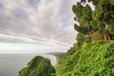 Sahilin güzel manzaralı yaz manzarası 