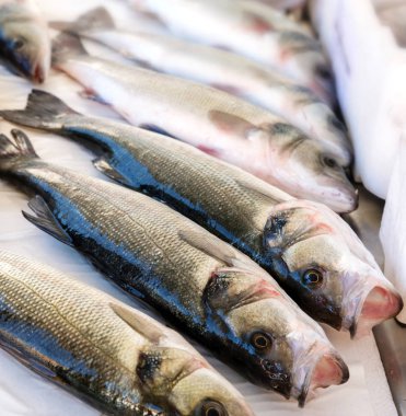 Seafood Market