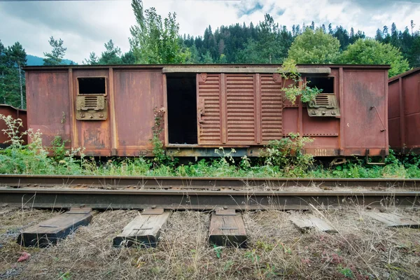 Velha carruagem de madeira abandonada — Fotografia de Stock