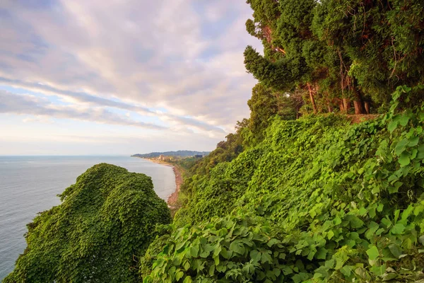 Sahilin güzel manzaralı yaz manzarası 