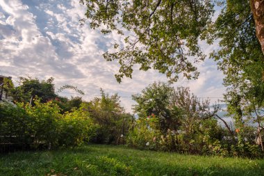 Kırsal kesimde bir sabah manzarası