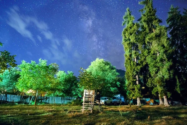 Nocny Las scena z gwiaździste błękitne niebo — Zdjęcie stockowe
