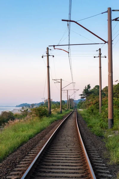 View of the railroad along coastline through the plants — Stock Photo, Image