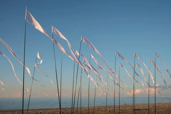 Banderas blancas ondeando en la playa — Foto de Stock